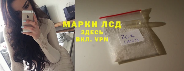 крисы Ельня