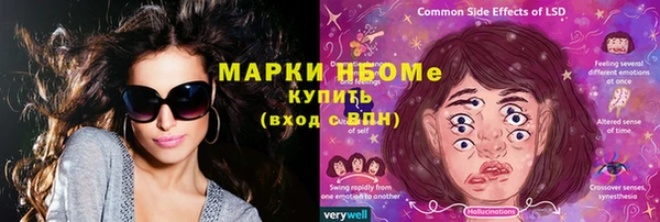 крисы Ельня