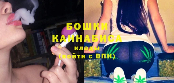 крисы Ельня