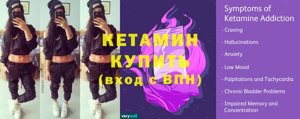 крисы Ельня